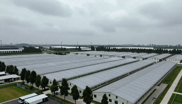 如何在平台选型中避免技术外包的常见误区？